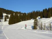 Pente d'entraînement Valepperalm