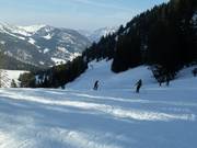 Piste au téléski Sattelkurvenlift