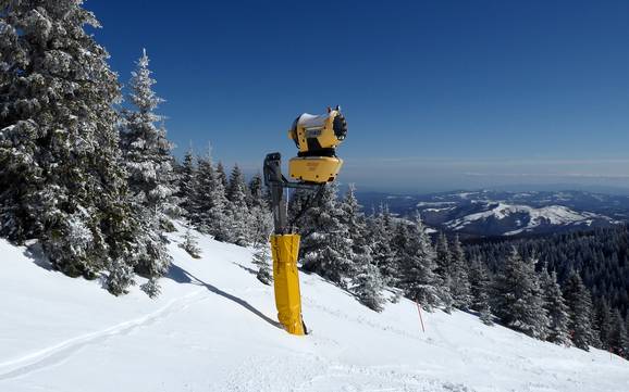 Fiabilité de l'enneigement Šumadija et Serbie de l'Ouest – Fiabilité de l'enneigement Kopaonik