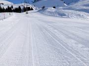Préparation parfaite des pistes