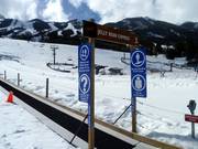 Jelly Bean - Tapis roulant