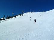 Piste Schwarze Tschaneck