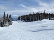 Piste facile Aunt Gladys