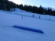 Petits obstacles au tapis roulant Bambi