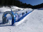 Leprotto - Tapis roulant/Moving Carpet