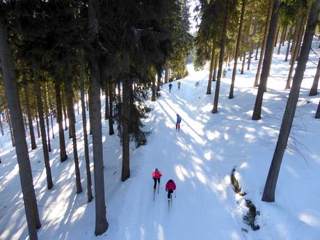 Ski nordique République tchèque – Ski nordique Špindlerův Mlýn