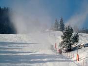 Descente en vallée enneigée artificiellement