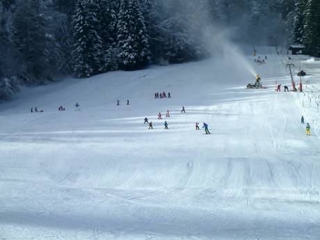 Domaines skiables pour les débutants dans l' Ammergauer Alpen (région touristique des Alpes d'Ammergau) – Débutants Kolbensattel – Oberammergau