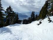 Shore Glades avec vue sur le Pacifique