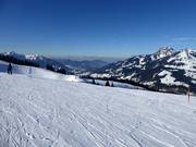 Descente dames facile avec vue sur le Wendelstein