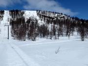 Vue sur la pente raide de poudreuse aux remontées Anja
