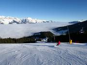 Descente standard FIS