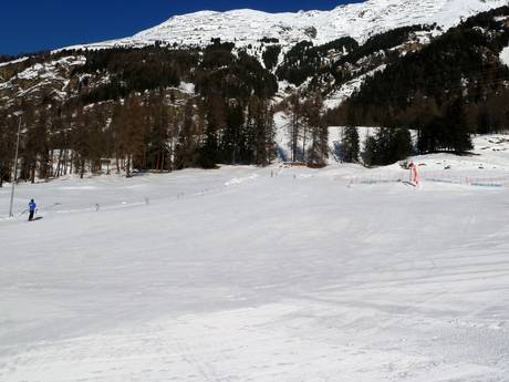 Domaines skiables pour les débutants dans le Val Bernina – Débutants Languard – Pontresina