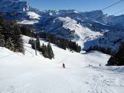 Piste difficile Chamois (Villars)