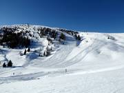 Vue sur les pistes du Monte Agaro