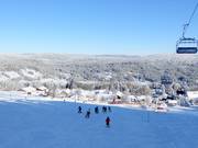 Vue sur Mitterfirmiansreut