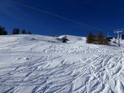Pentes de poudreuse au Rosskopf