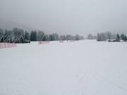 Piste pour débutants au téléski Donariè