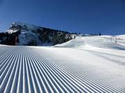 Très bonne préparation des pistes