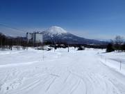 Piste facile et large au Niseko Village