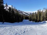 Descente vers la vallée Schöneben