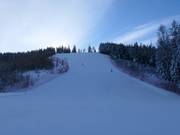 Descente Coupe du Monde Hannes Trinkl