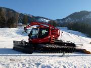 Dameuse au Unternberg