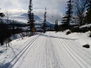 Des pistes de ski de fond de rêve avec vue sur le Gaustatoppen