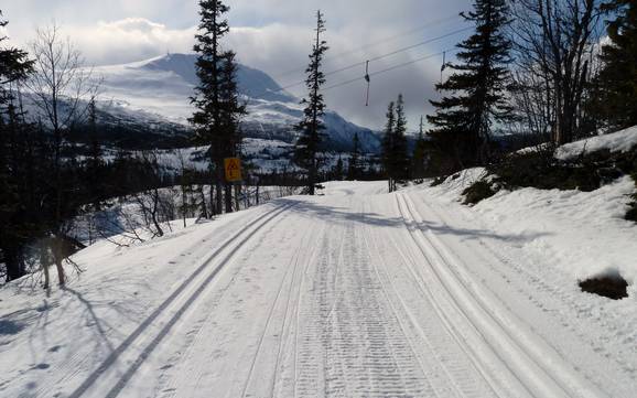 Ski nordique Telemark – Ski nordique Gaustablikk – Rjukan