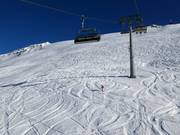 Zone freeride au Große Karbahn