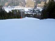 Piste FIS Standard Kohlerhang