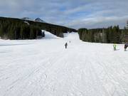 Piste facile vers la Nakiska Day Lodge