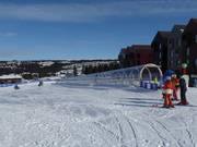 Frontyard A - Tapis roulant/Moving Carpet recouvert d’une galerie