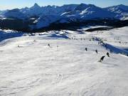 Piste facile n° 34 Green Run