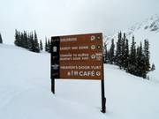 Signalisation des pistes dans le domaine skiable de Kicking Horse