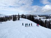 Piste facile North Pole