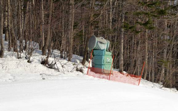 Fiabilité de l'enneigement Prince Snow Resorts – Fiabilité de l'enneigement Furano