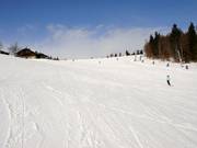 Piste facile au téléski Almwiesenlift