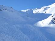 Traces dans la poudreuse