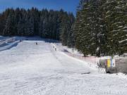 Zone pour débutants au Sunny Kids Park