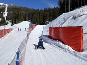 Piste de luge (Brimi Winter Run) au Gitschberg