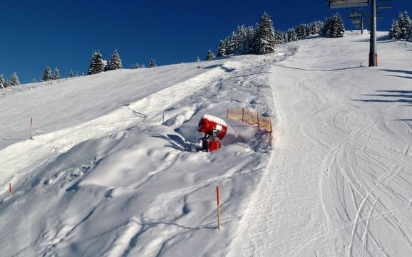 Fiabilité de l'enneigement Bodensee-Vorarlberg – Fiabilité de l'enneigement Laterns – Gapfohl
