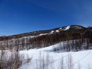 Vue sur les pentes boisées du Mont Tremblant