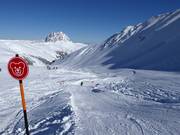 Kogel-Mogel parcours à vagues