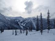 Vue sur les pistes au Summit Chair