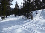 Piste de ski de fond à Tandådalen