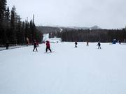 Zone pour débutants Sunny Side avec tapis roulants