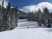 Piste au télésiège Crest 6