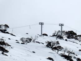 North Perisher T-Bar