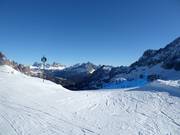 Piste difficile n° 62 Vitelli